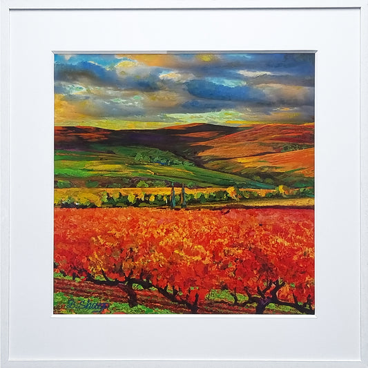 גפנים בחורף