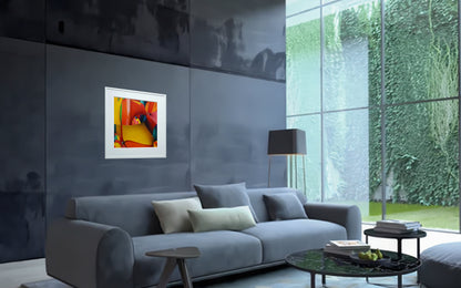 (אוסף "עונות" 2022-2025) קיץ