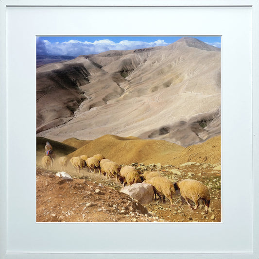 סאטרה (2023 "מסע" לאורך השבר הסורי-אפריקאי)