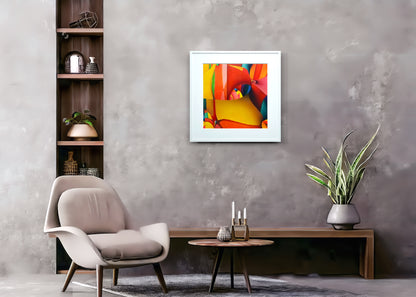 (אוסף "עונות" 2022-2025) קיץ